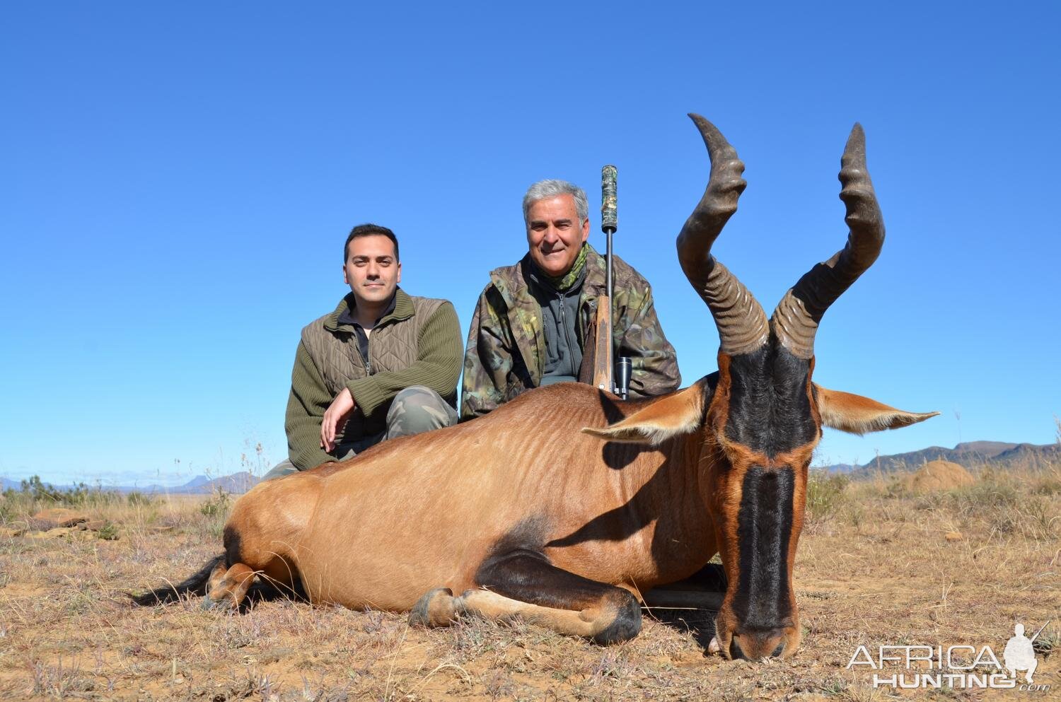 South Africa Hunt Red Hartebeest