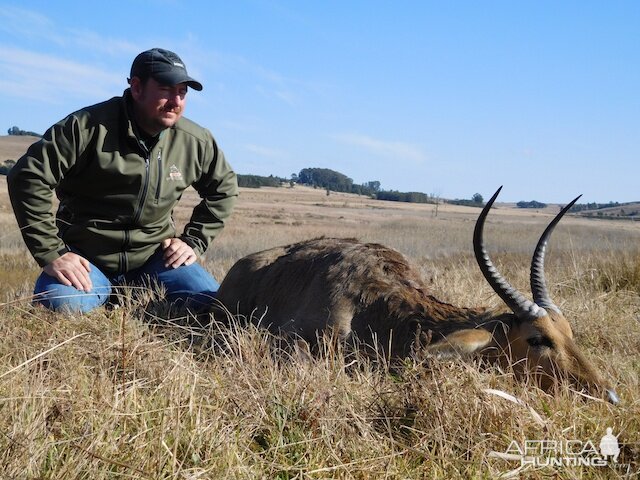 South Africa Hunt Reedbuck