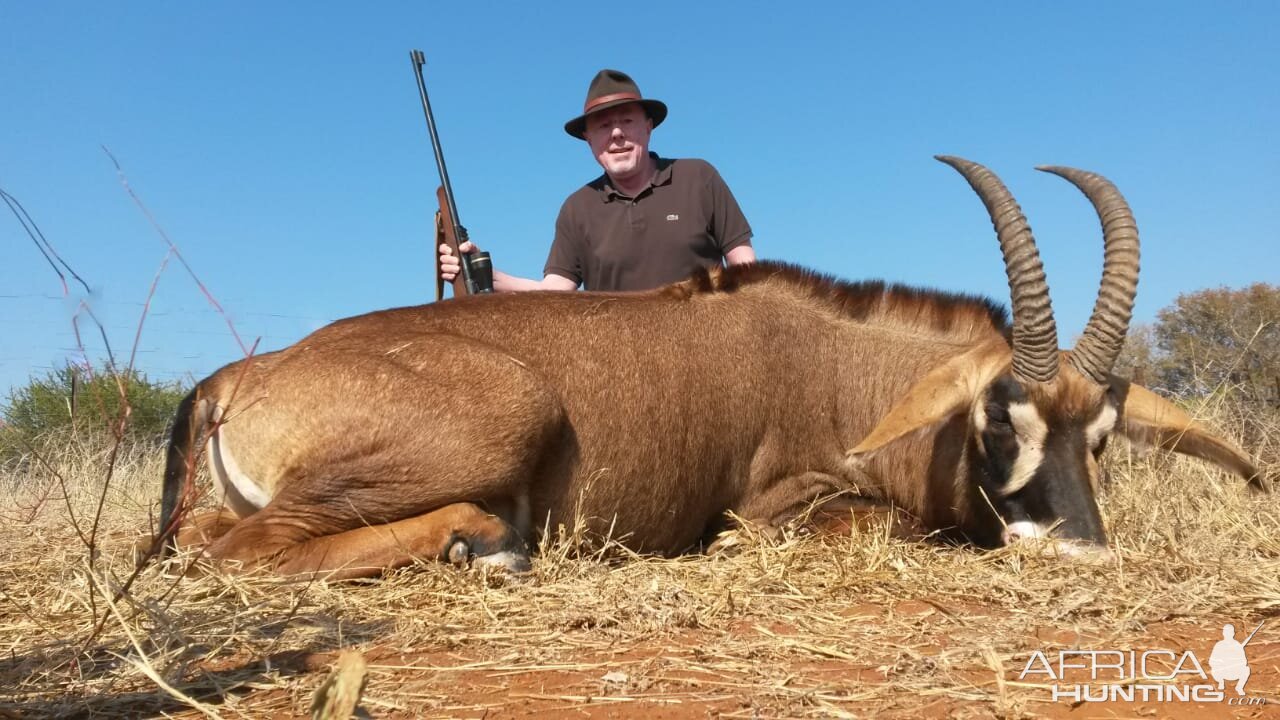 South Africa Hunt Roan Antelope