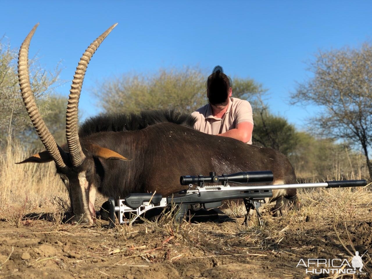 South Africa Hunt Sable Antelope