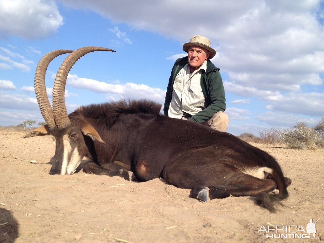 South Africa Hunt Sable Antelope