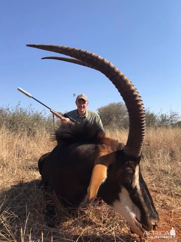 South Africa Hunt Sable Antelope