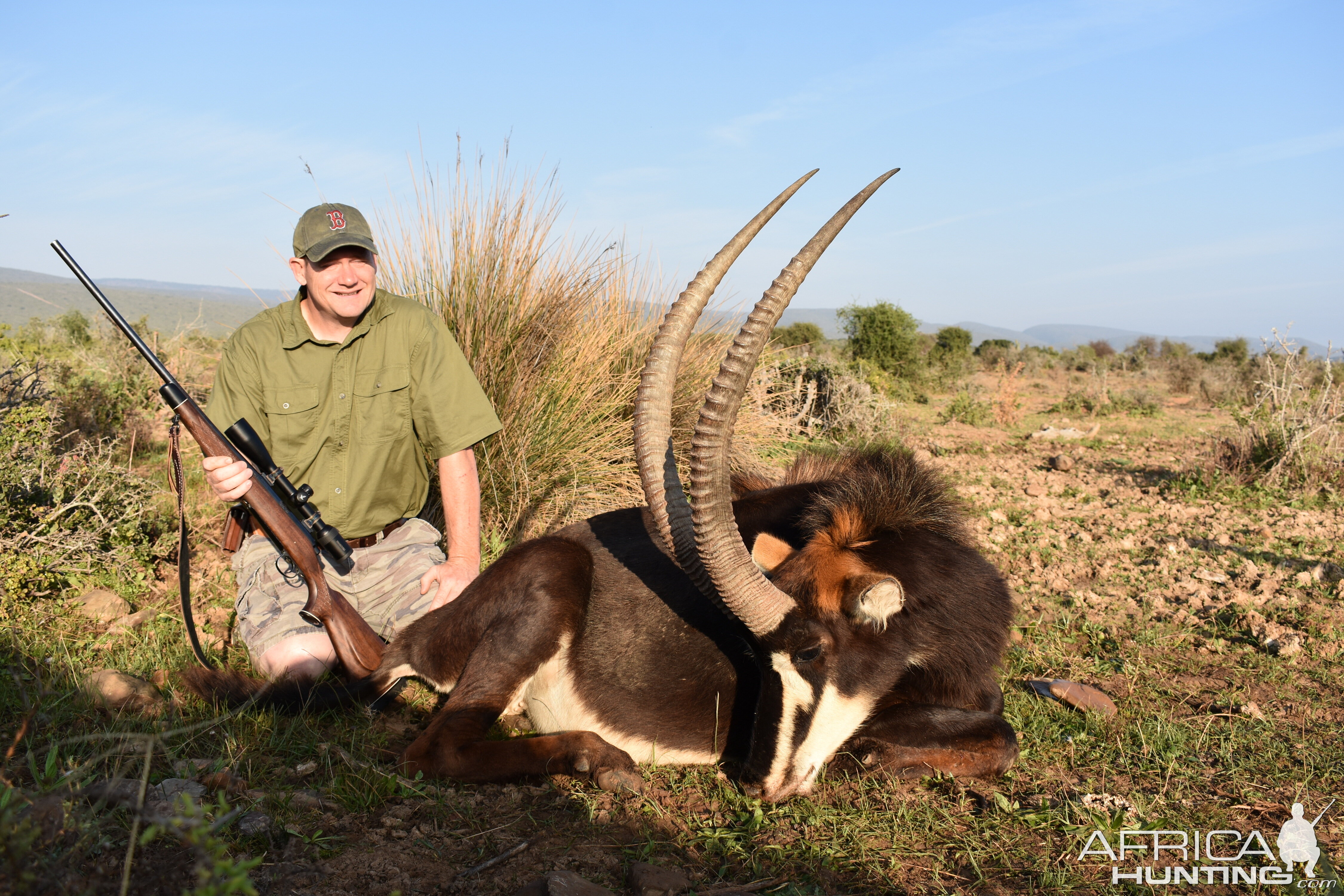 South Africa Hunt Sable Antelope