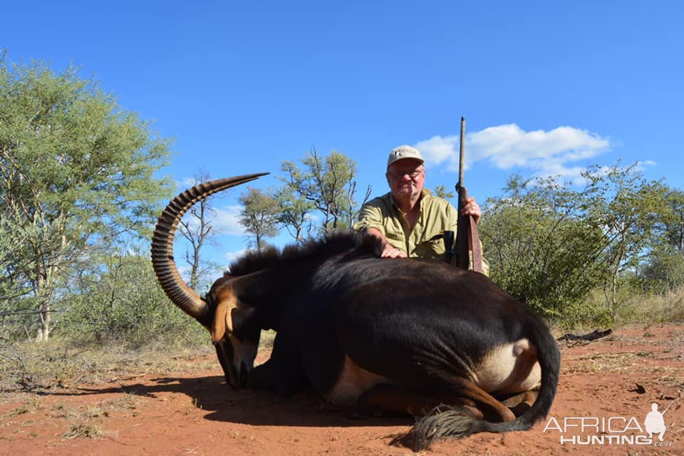 South Africa Hunt Sable Antelope