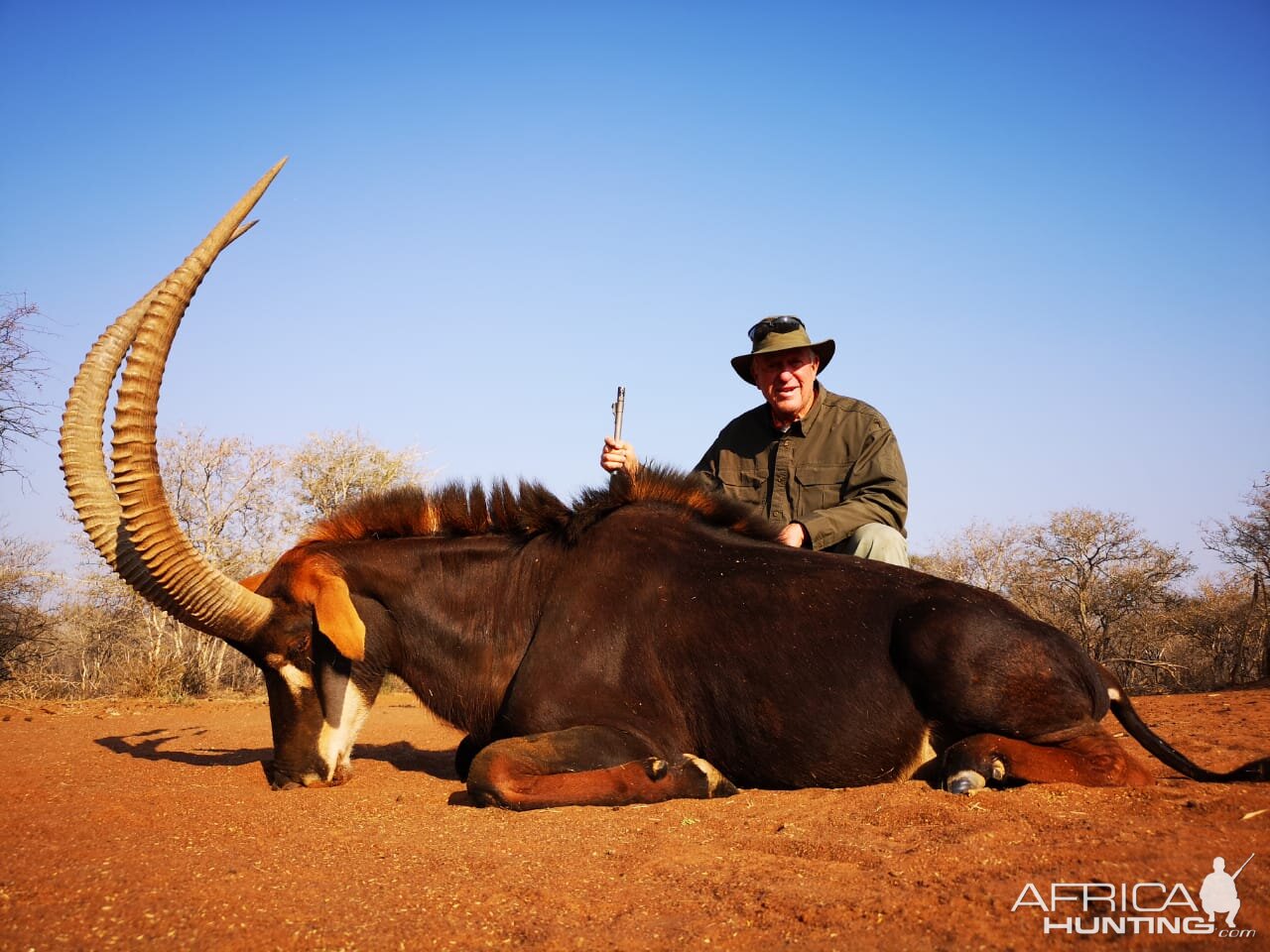 South Africa Hunt Sable Antelope