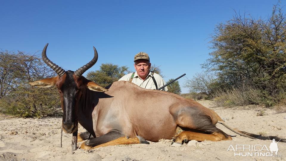 South Africa Hunt Tsessebe