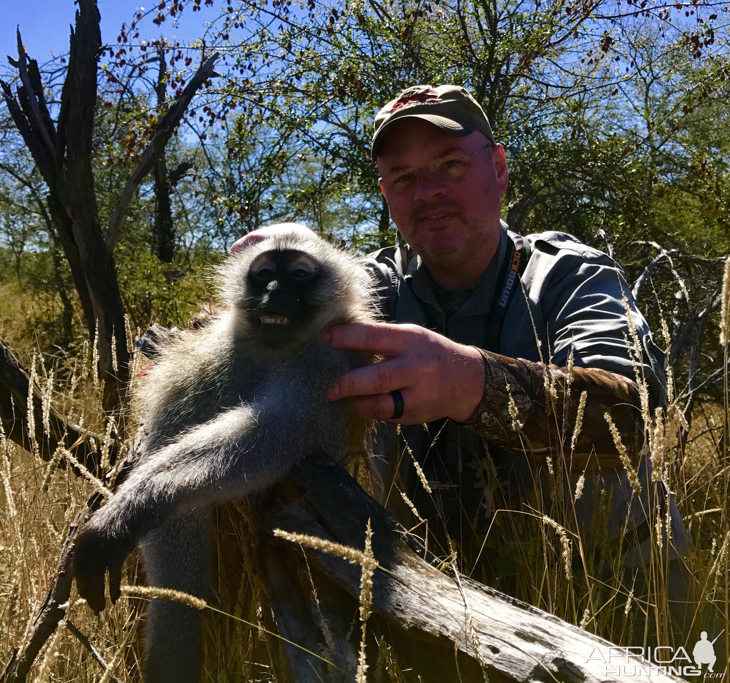 South Africa Hunt Vervet Monkey