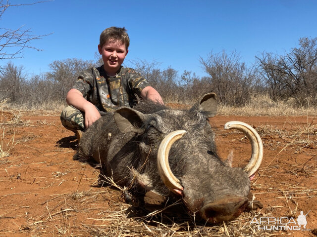 South Africa Hunt Warthog