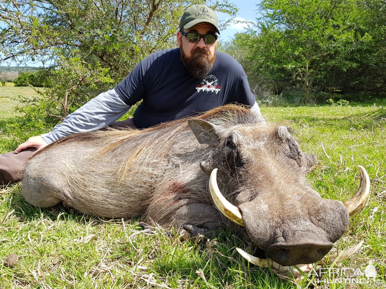 South Africa Hunt Warthog