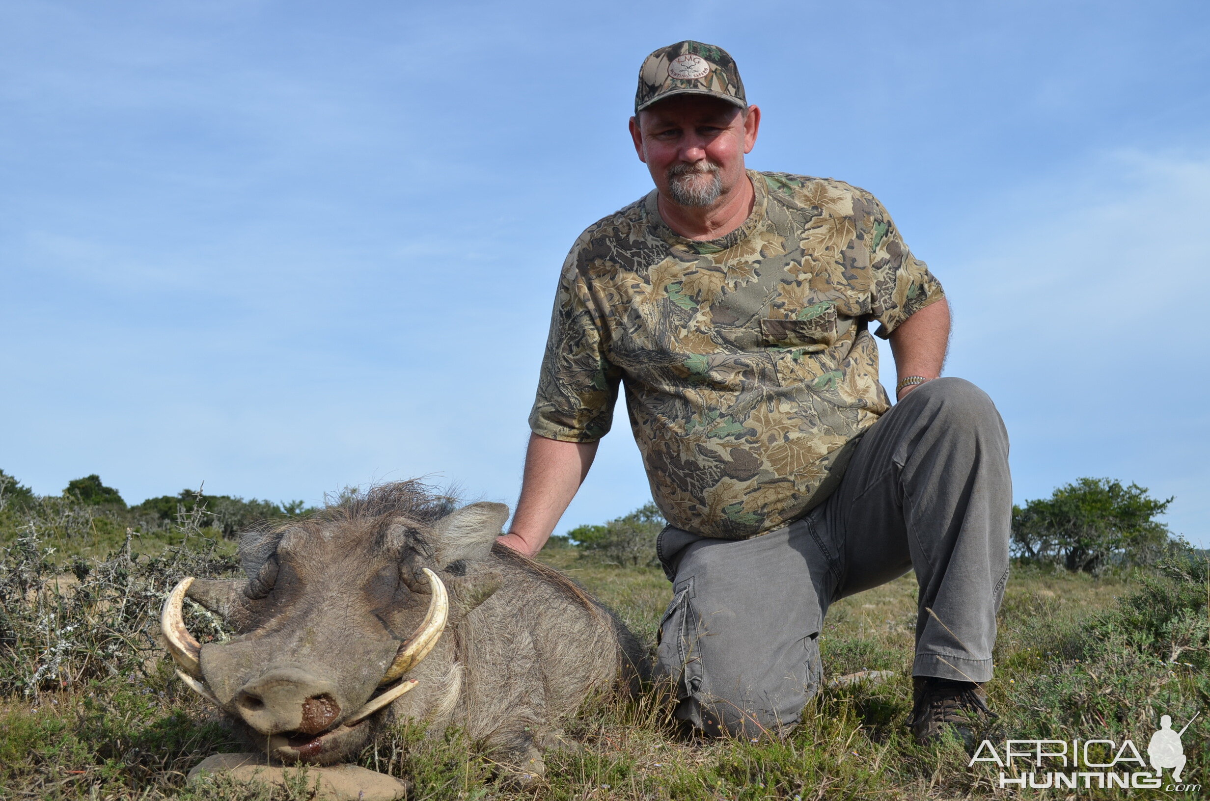 South Africa Hunt Warthog