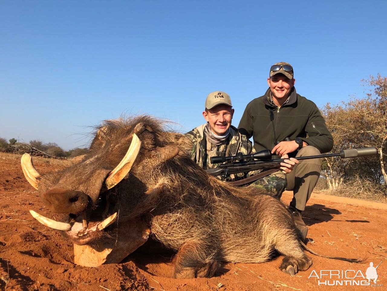 South Africa Hunt Warthog