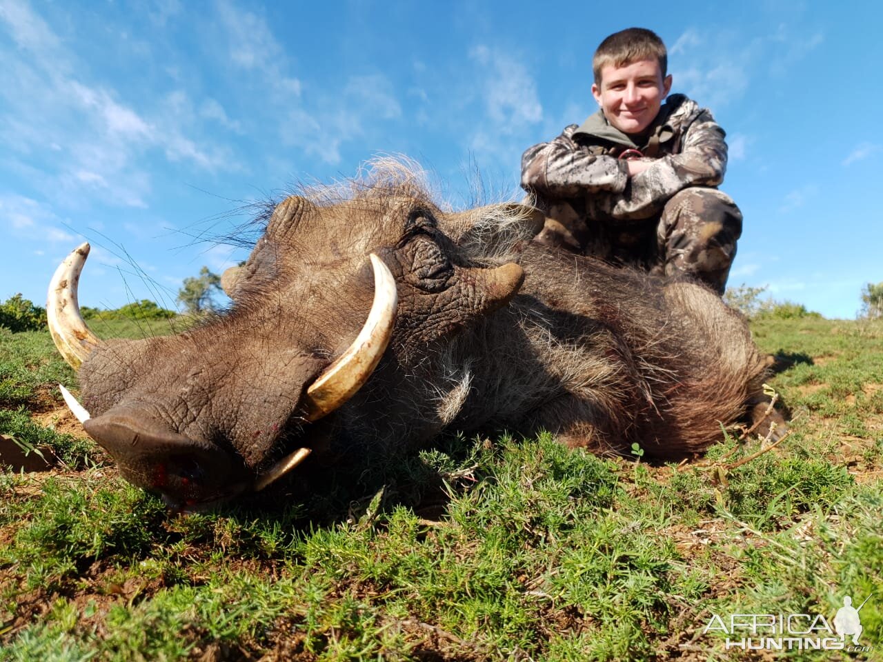 South Africa Hunt Warthog | AfricaHunting.com