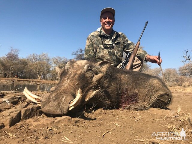 South Africa Hunt Warthog