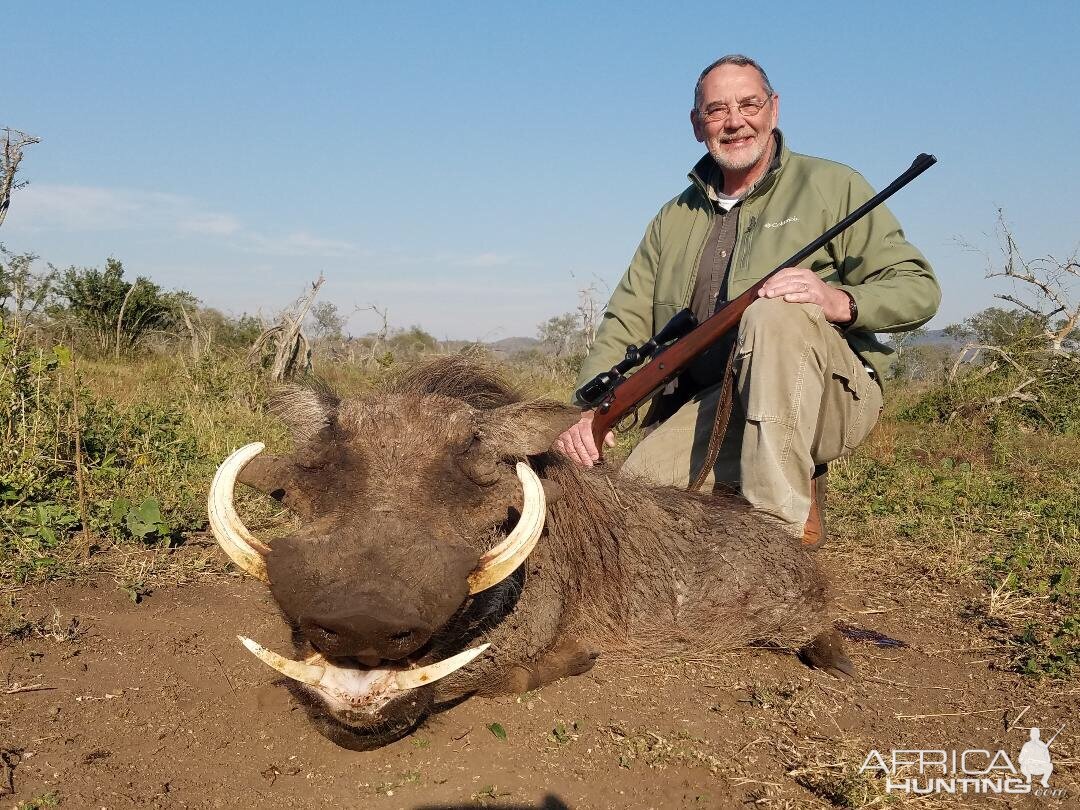 South Africa Hunt Warthog