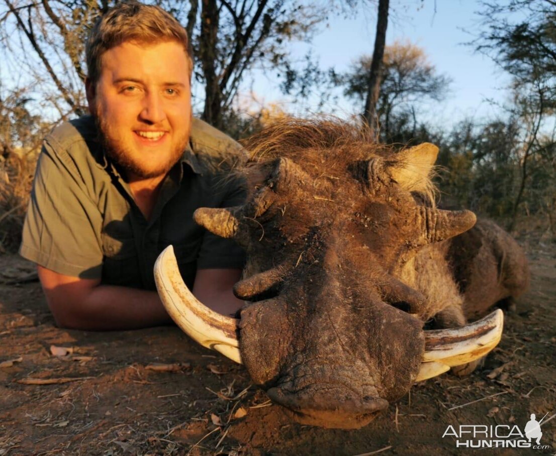 South Africa Hunt Warthog