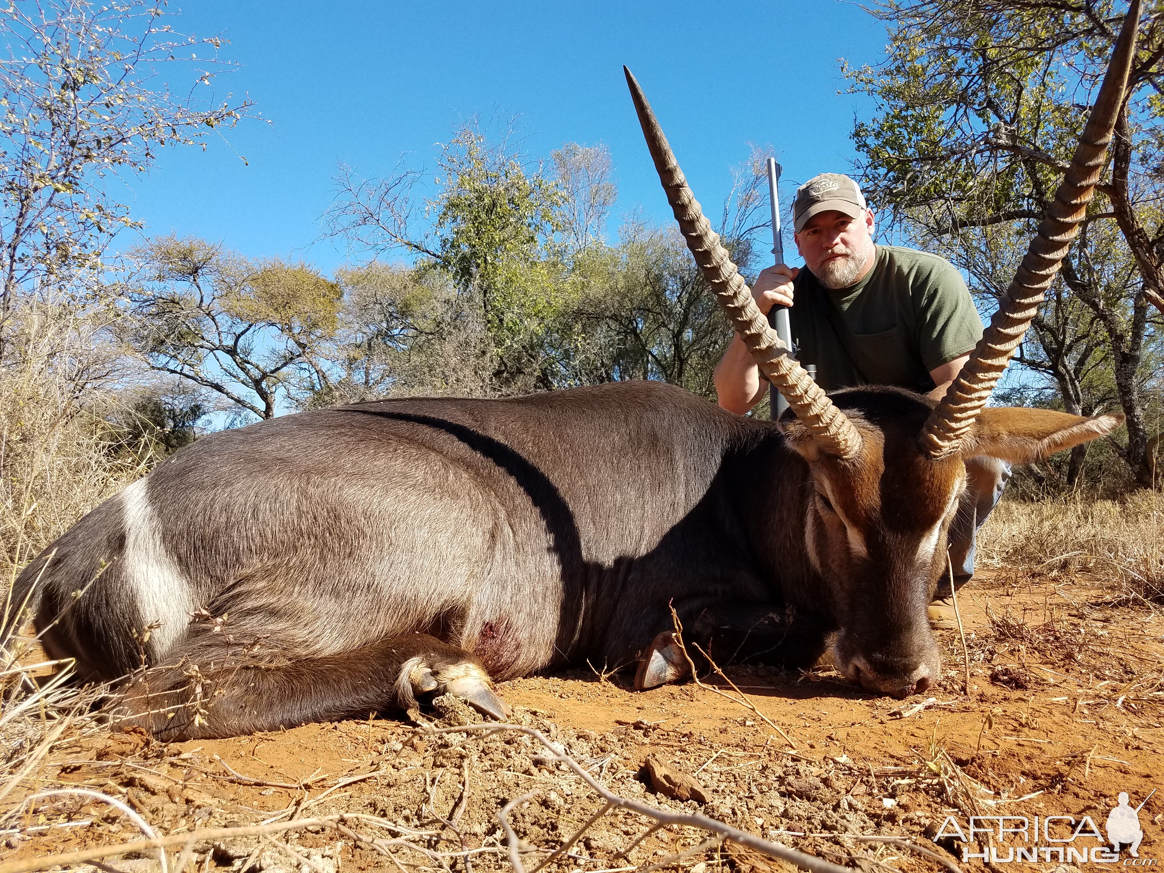 South Africa Hunt Waterbuck