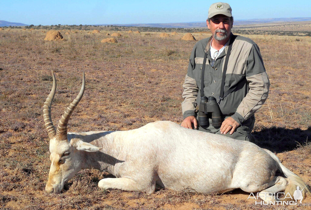 South Africa Hunt White Blesbok