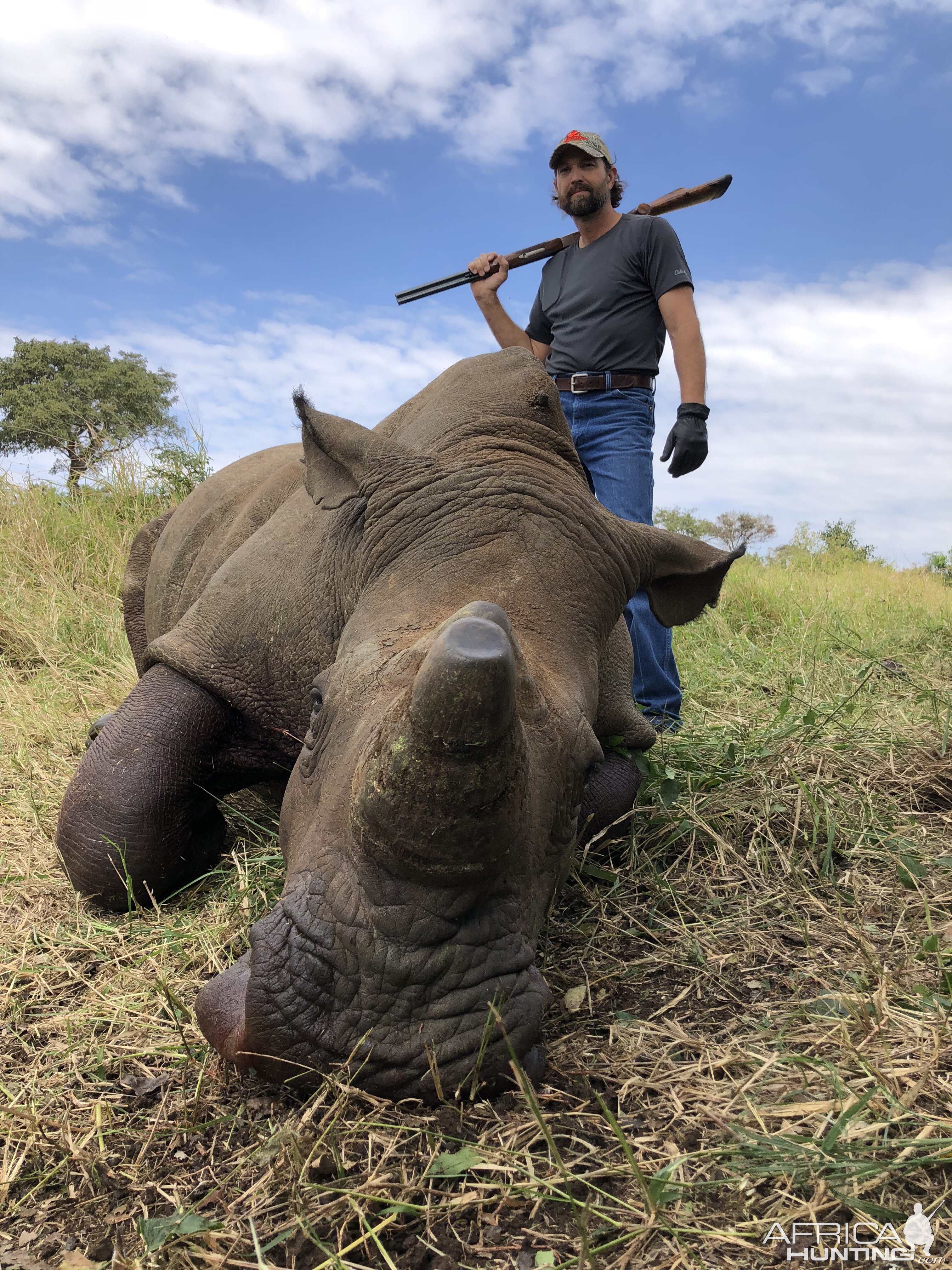 South Africa Hunt White Rhino | AfricaHunting.com