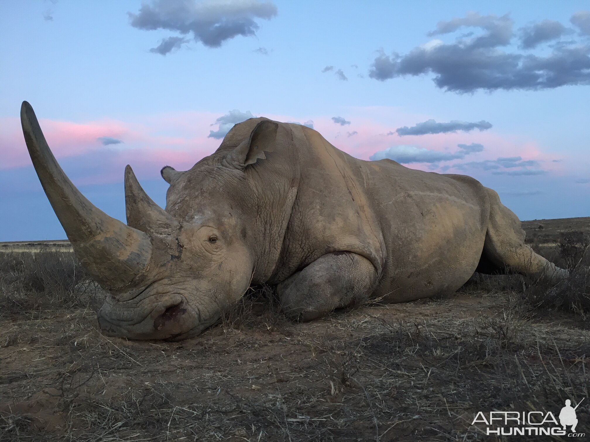 South Africa Hunt White Rhino