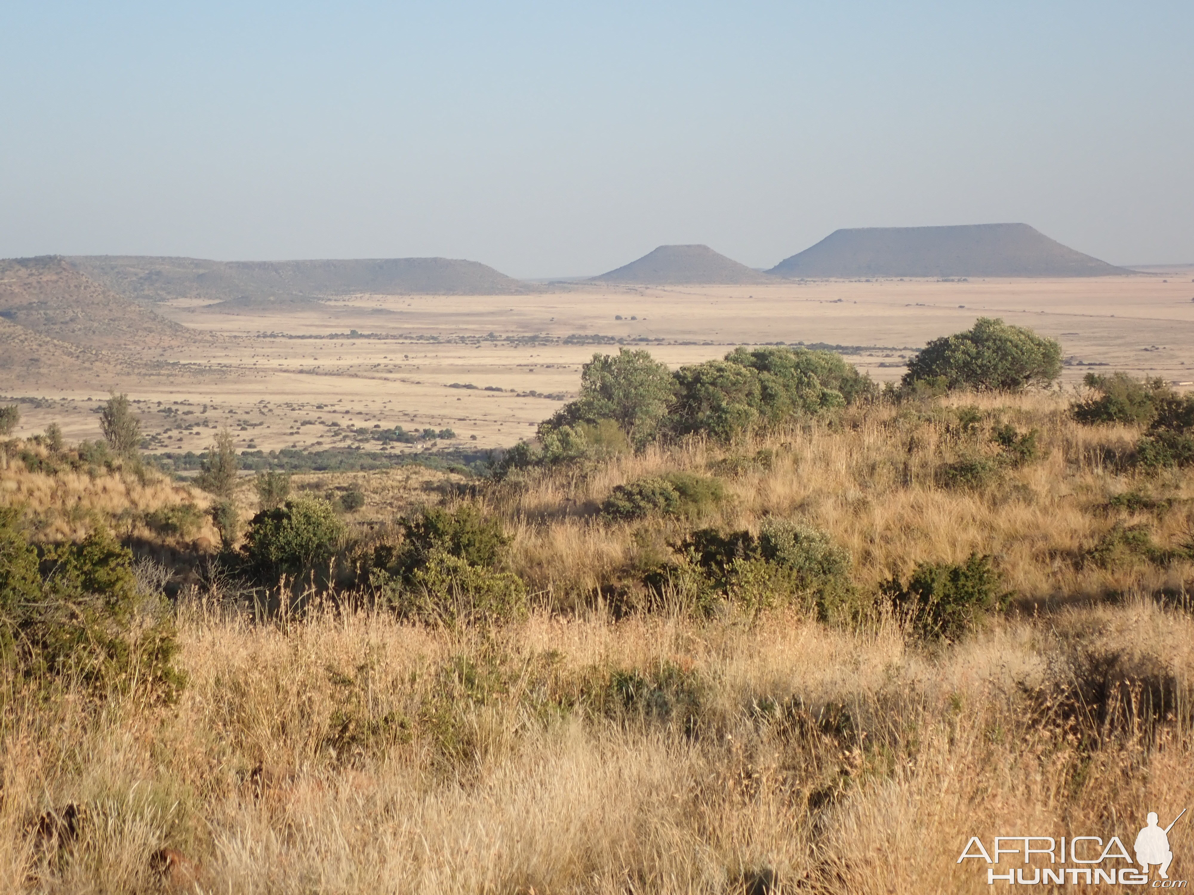 South Africa Hunt