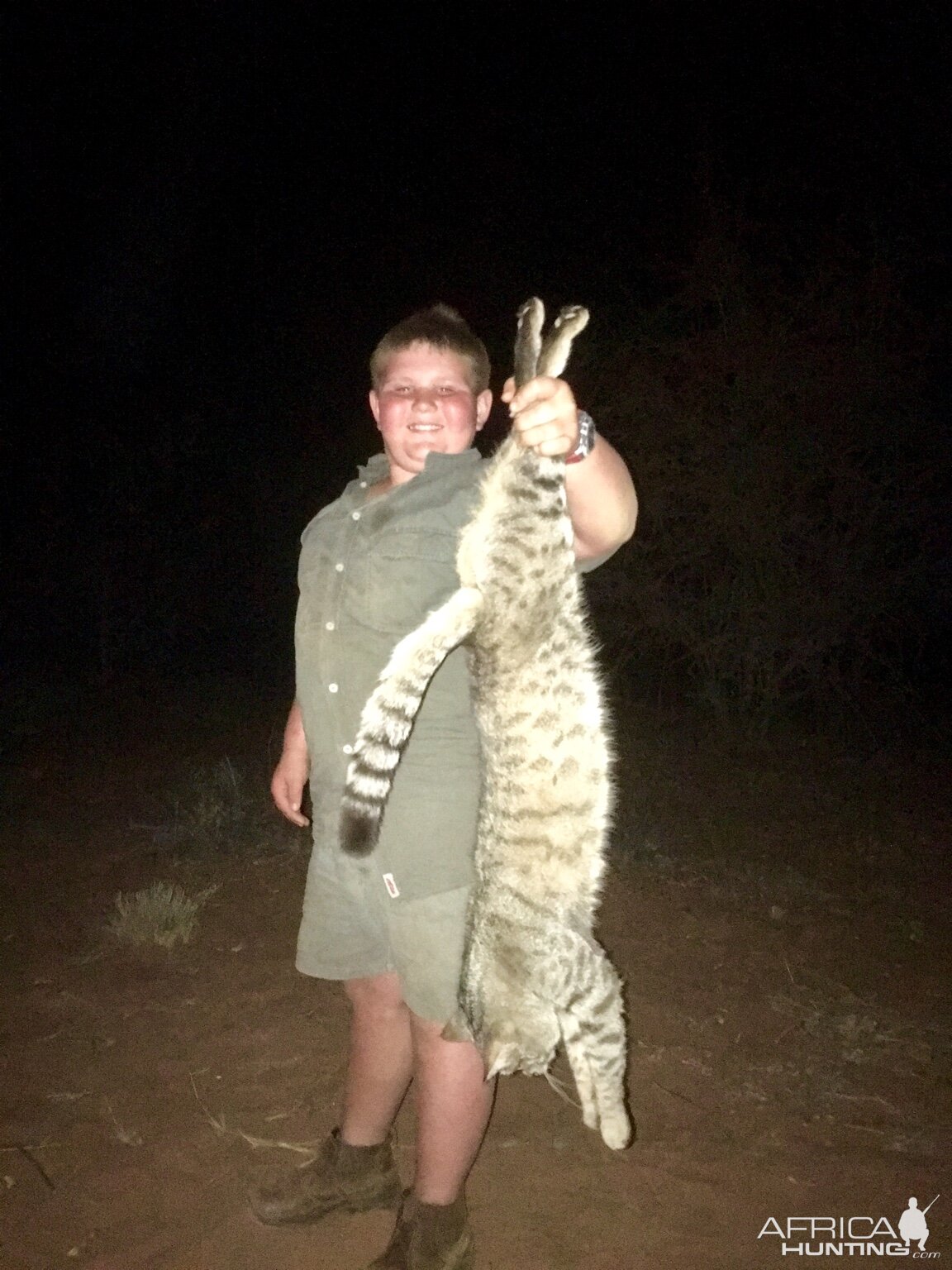 South Africa Hunting African Wild Cat