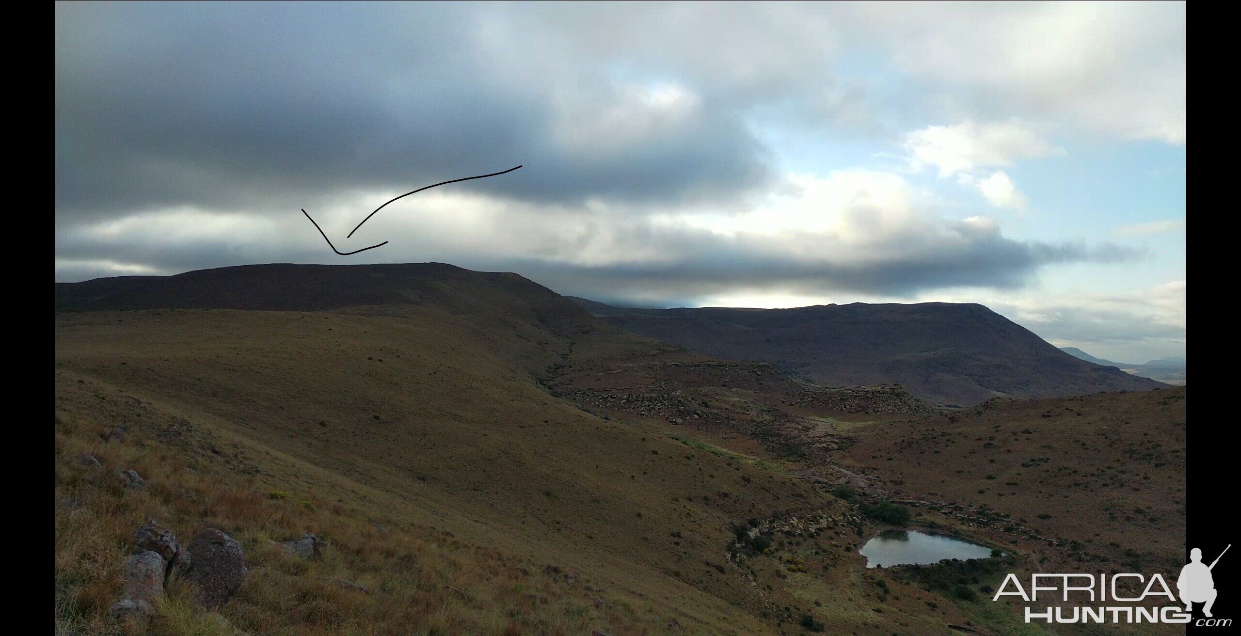 South Africa Hunting Aoudad