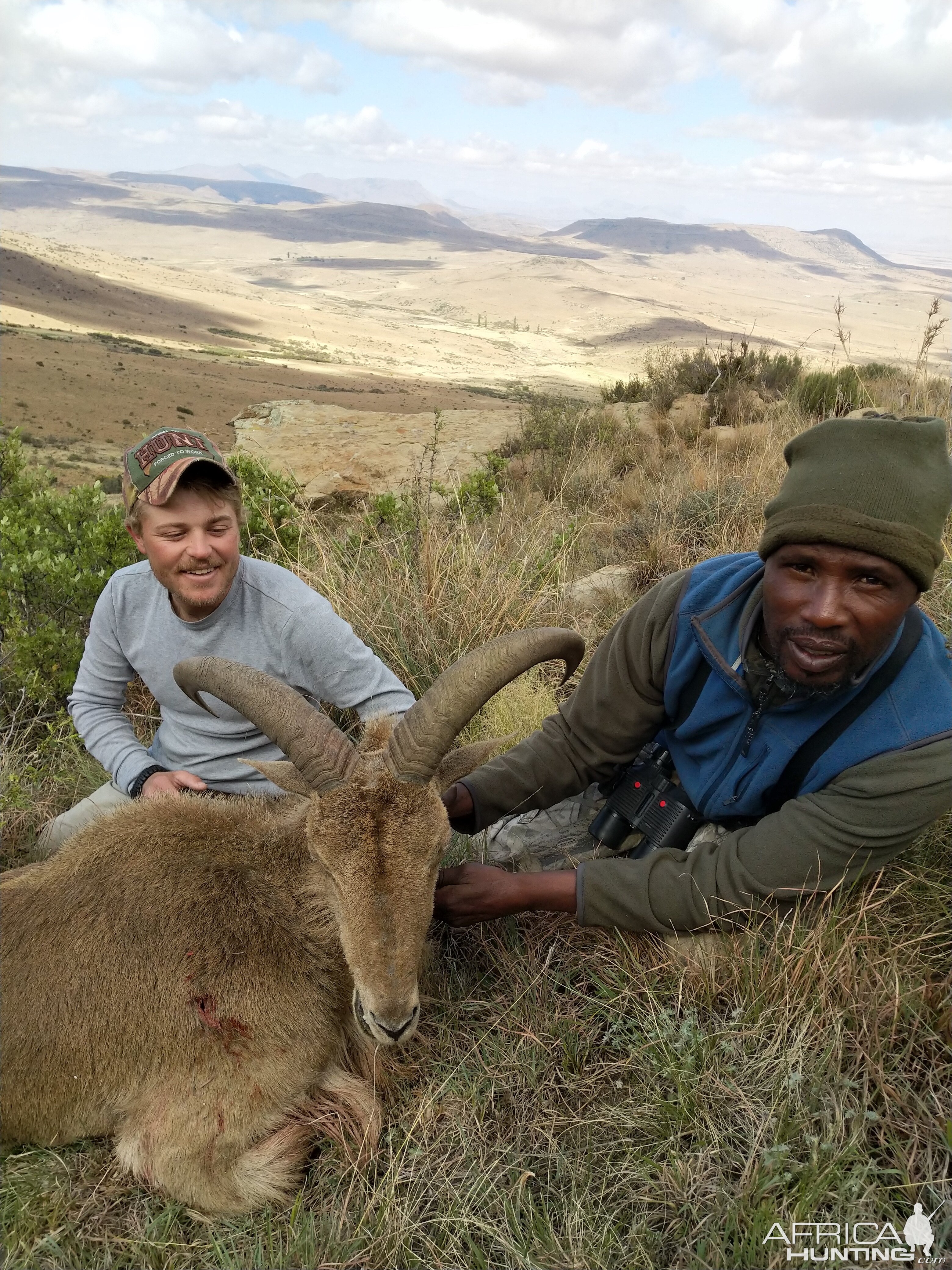 South Africa Hunting Aoudad