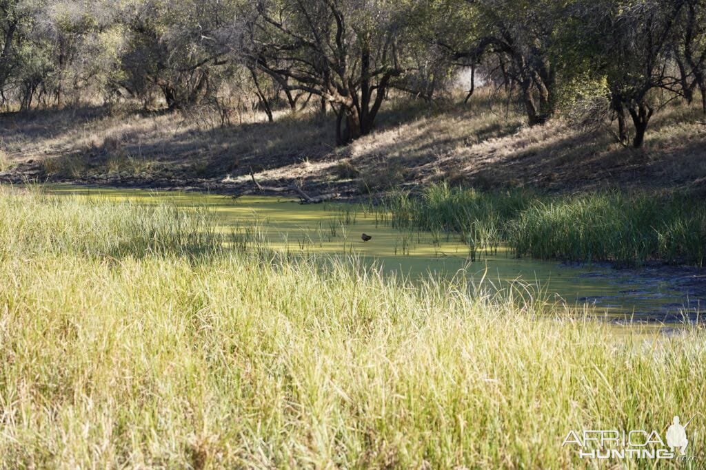 South Africa Hunting Area