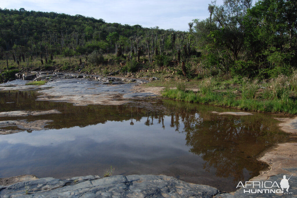 South Africa Hunting Area