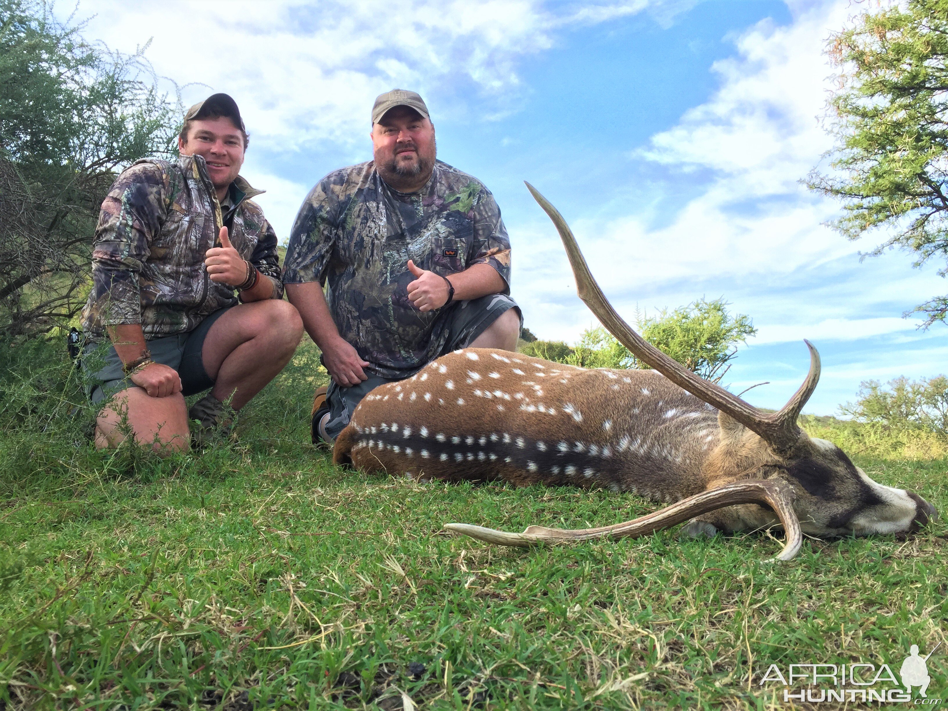 South Africa Hunting Axis Deer