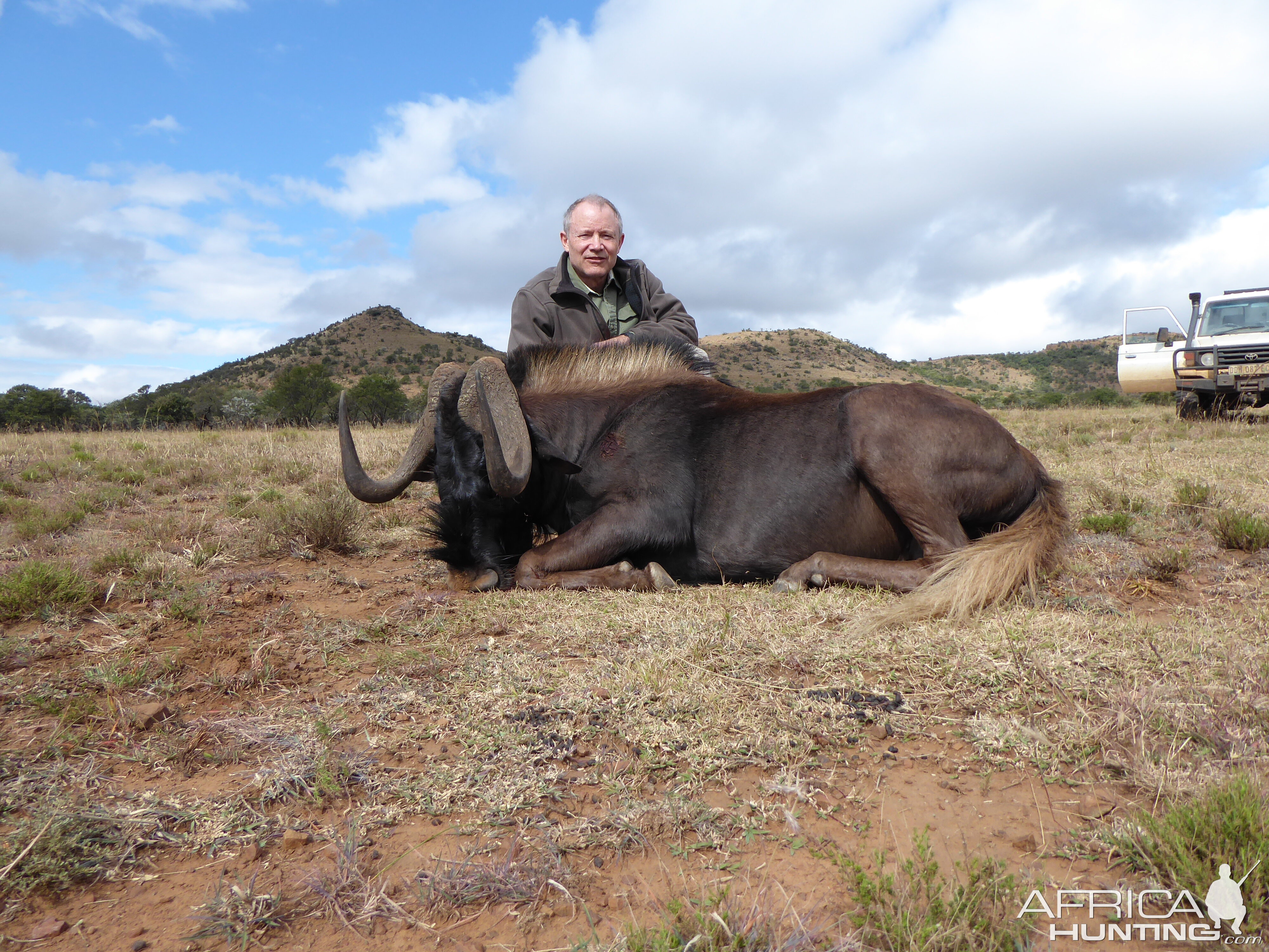 South Africa Hunting Black Wildebeest