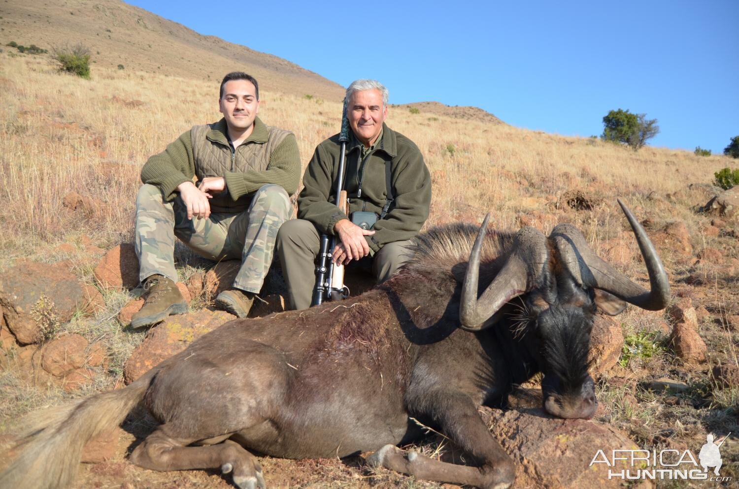 South Africa Hunting Black Wildebeest