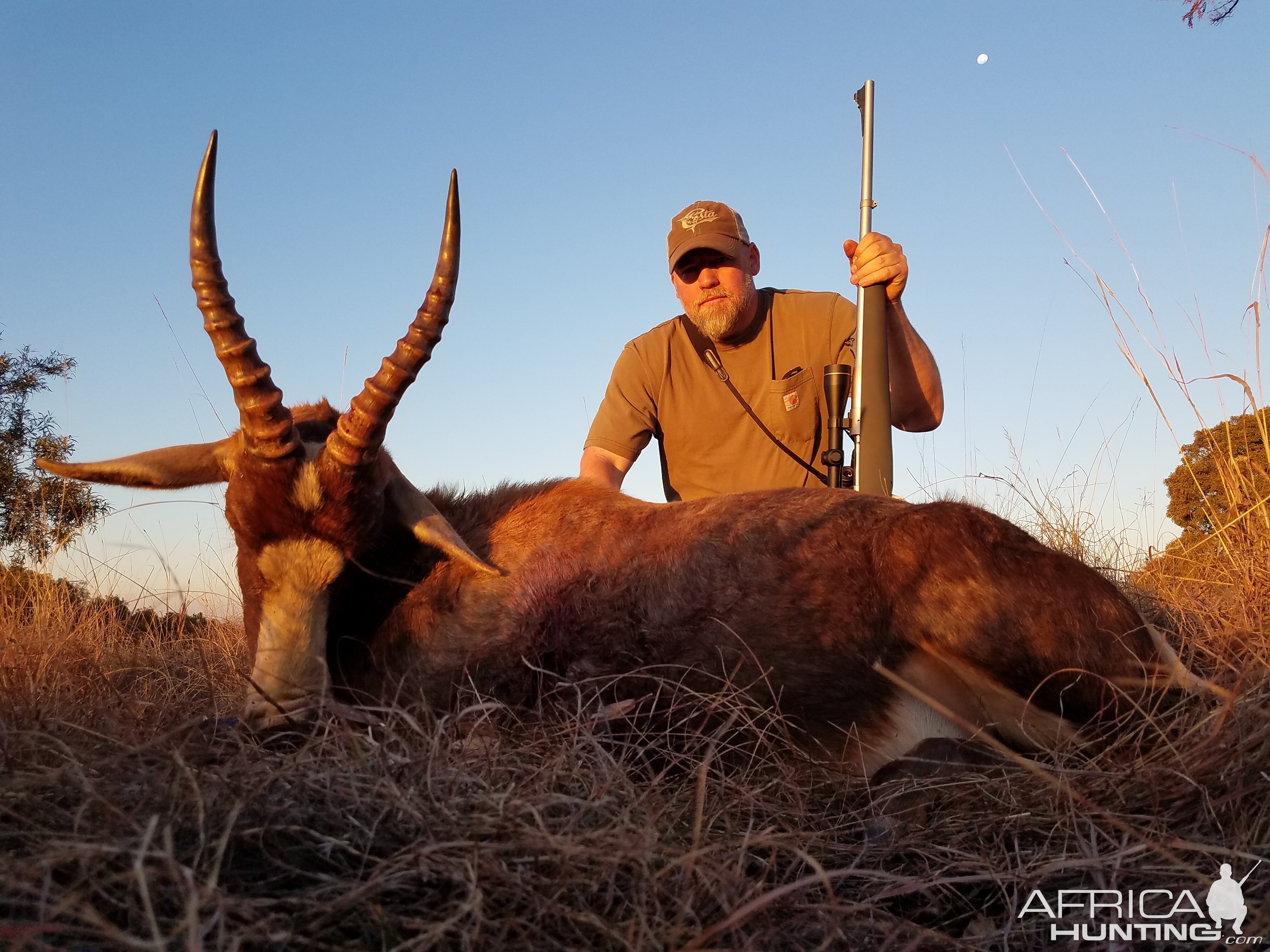 South Africa Hunting Blesbok