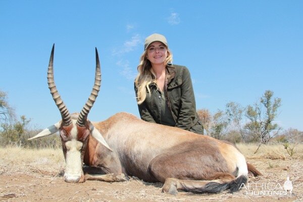 South Africa Hunting Blesbok