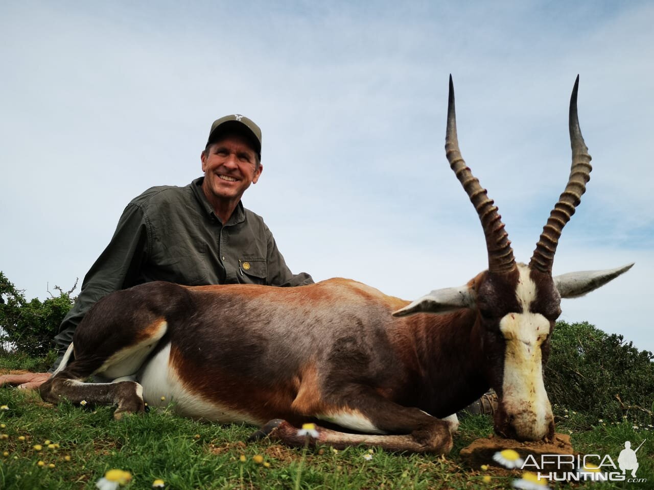 South Africa Hunting Blesbok