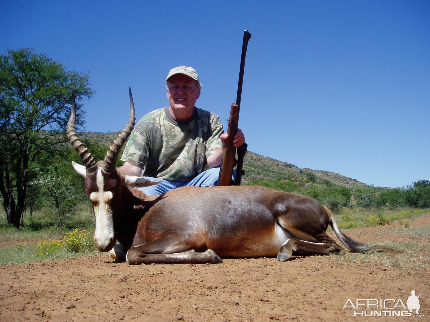 South Africa Hunting Blesbok