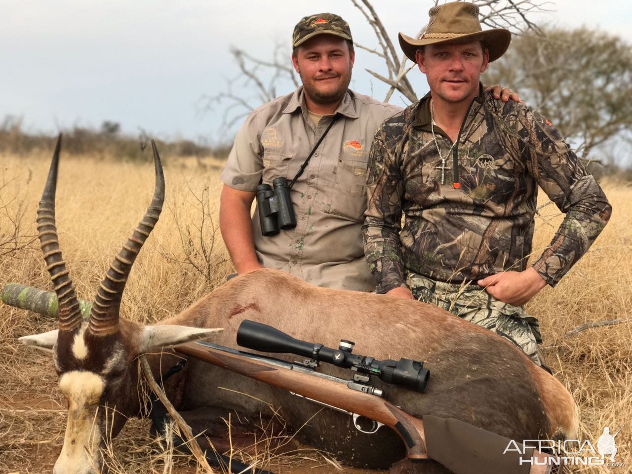 South Africa Hunting Blesbok