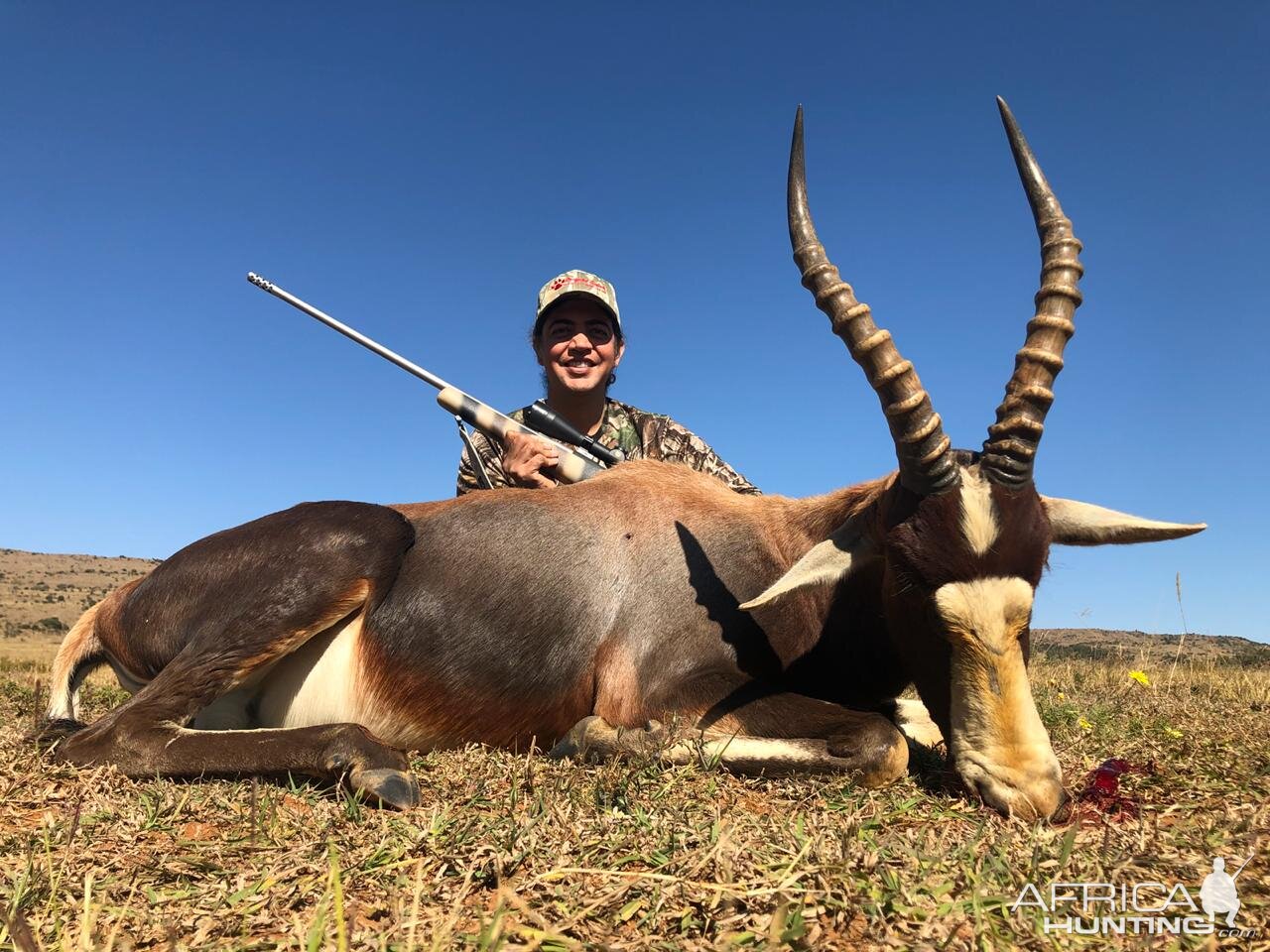 South Africa Hunting Blesbok