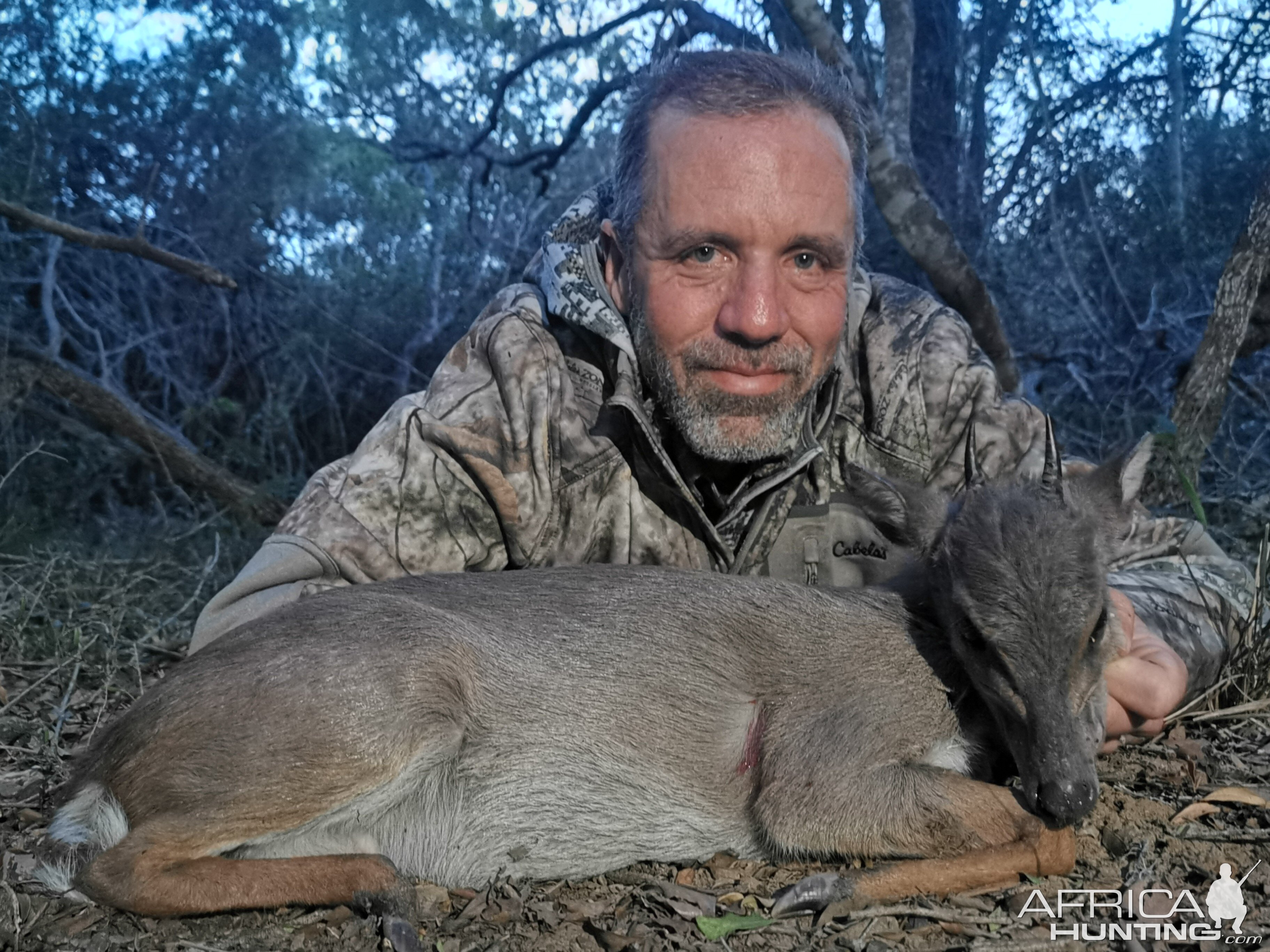 South Africa Hunting Blue Duiker