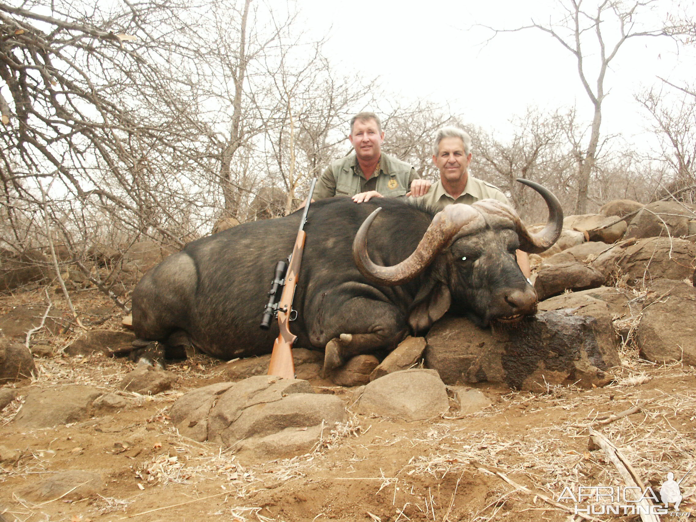 South Africa Hunting Buffalo in Timbavati