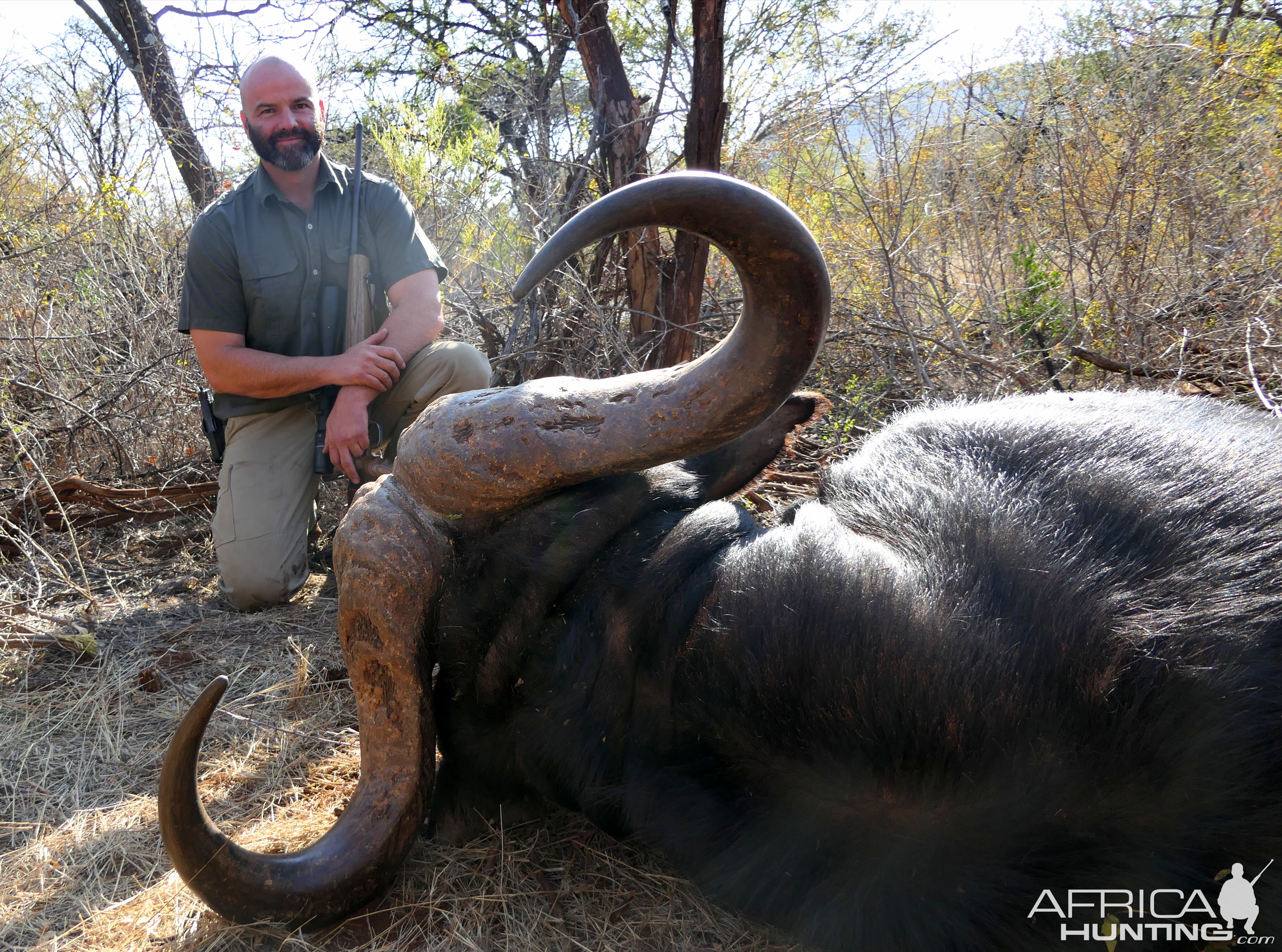 South Africa Hunting Buffalo