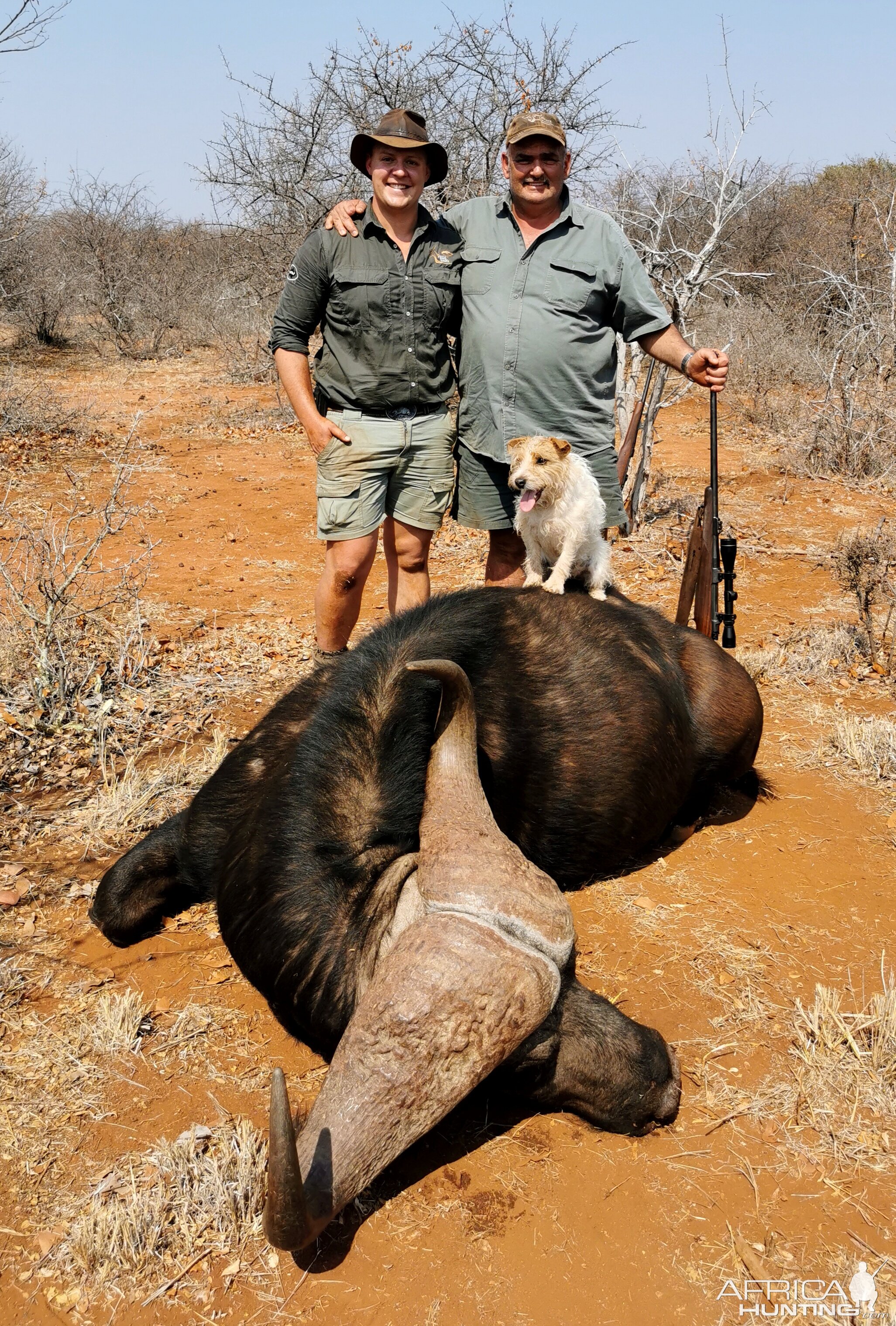 South Africa Hunting Buffalo