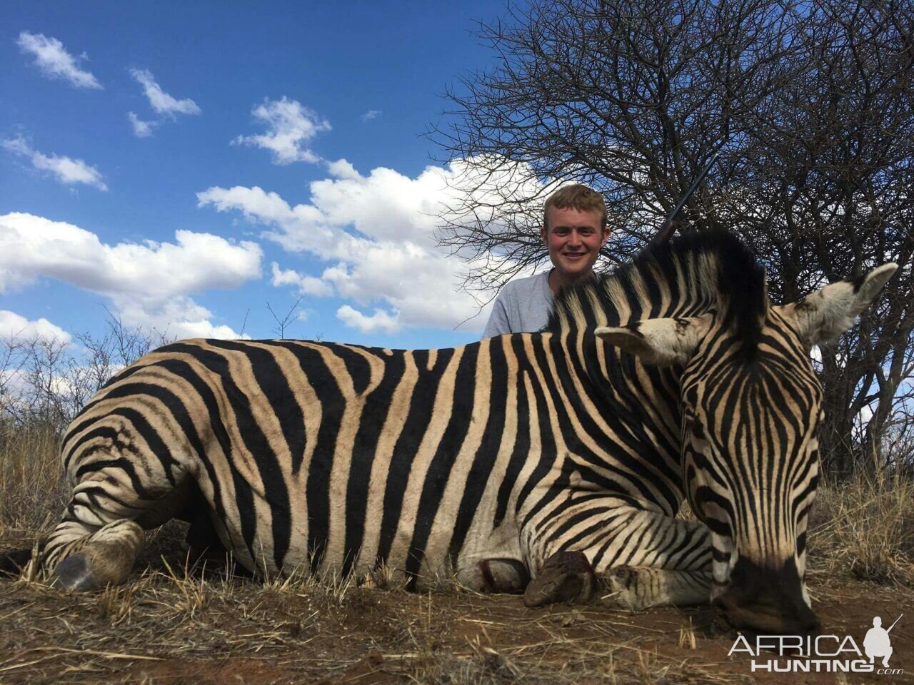 South Africa Hunting Burchell's Plain Zebra