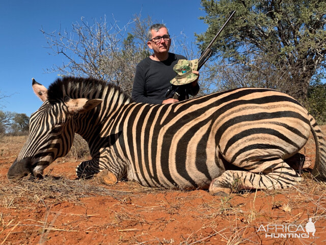 South Africa Hunting Burchell's Plain Zebra