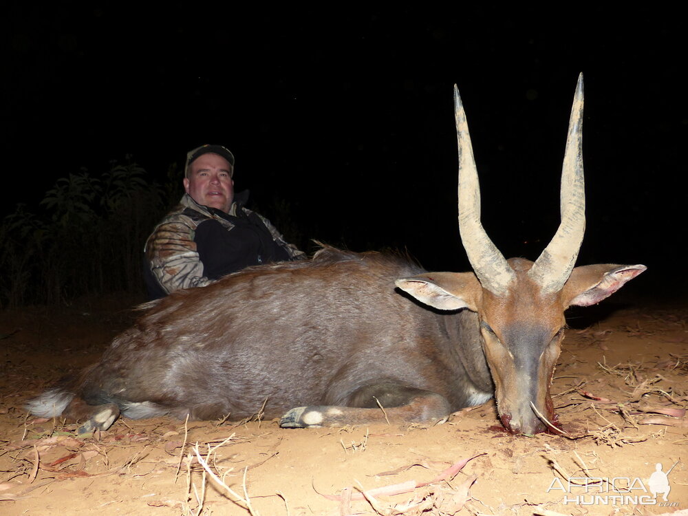 South Africa Hunting Bushbuck