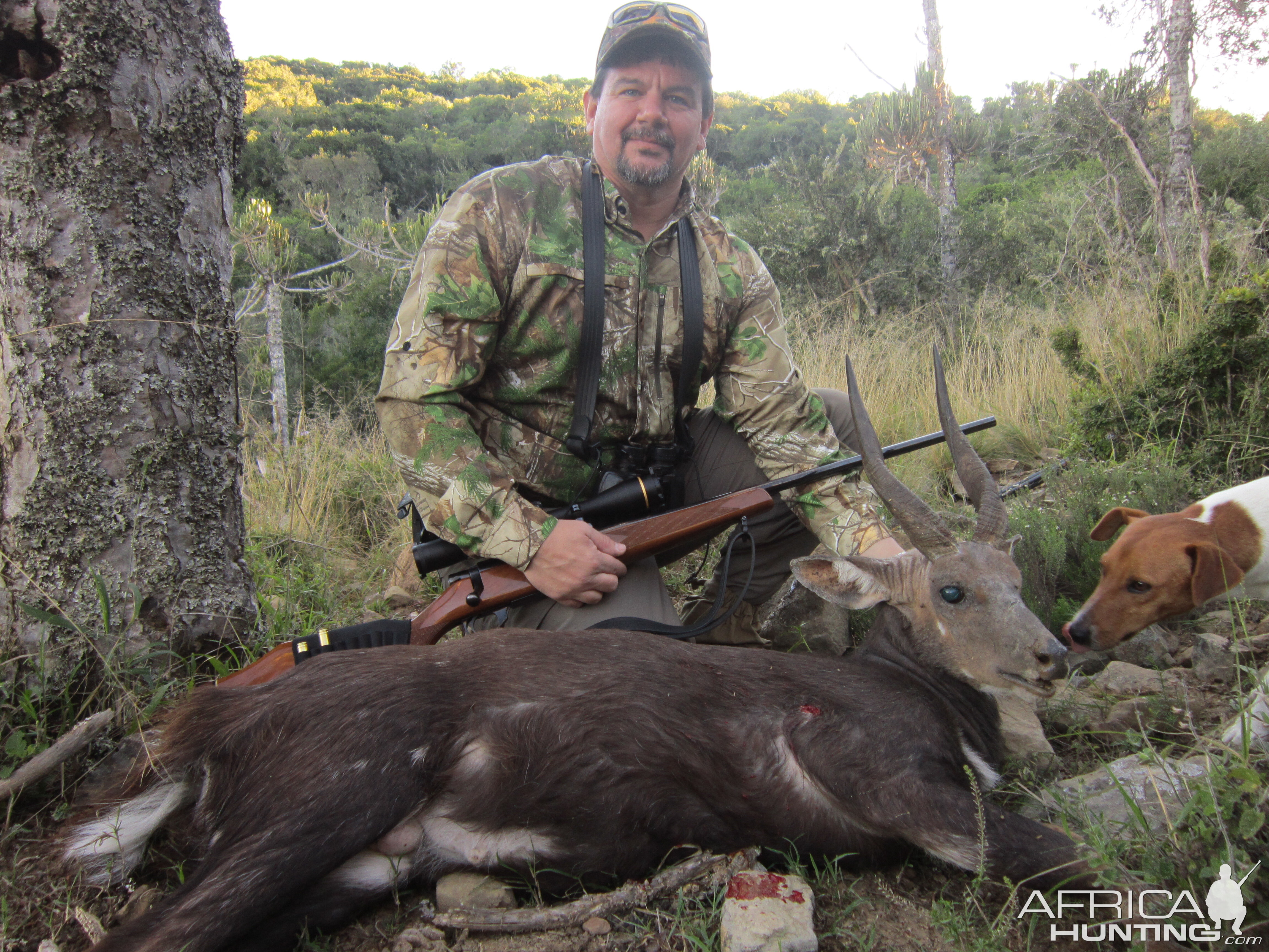 South Africa Hunting Bushbuck