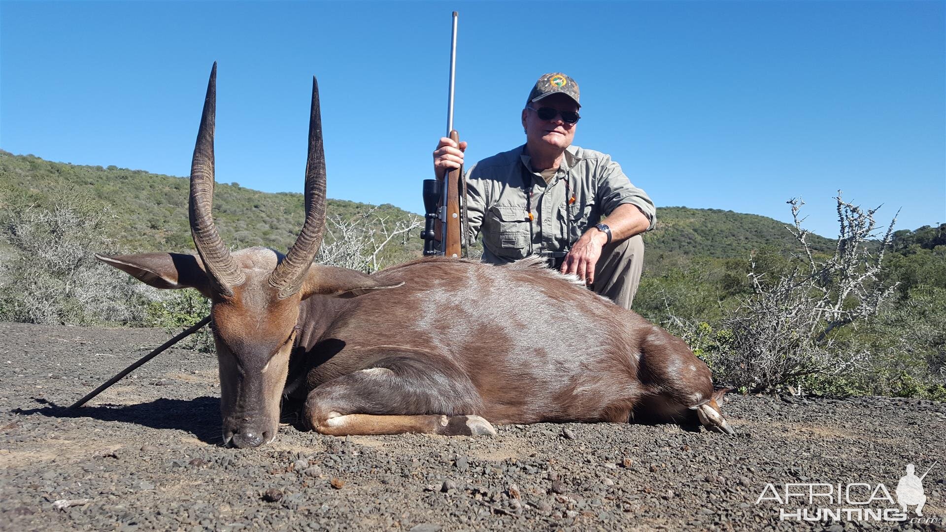 South Africa Hunting Bushbuck