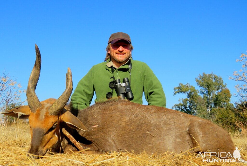 South Africa Hunting Bushbuck