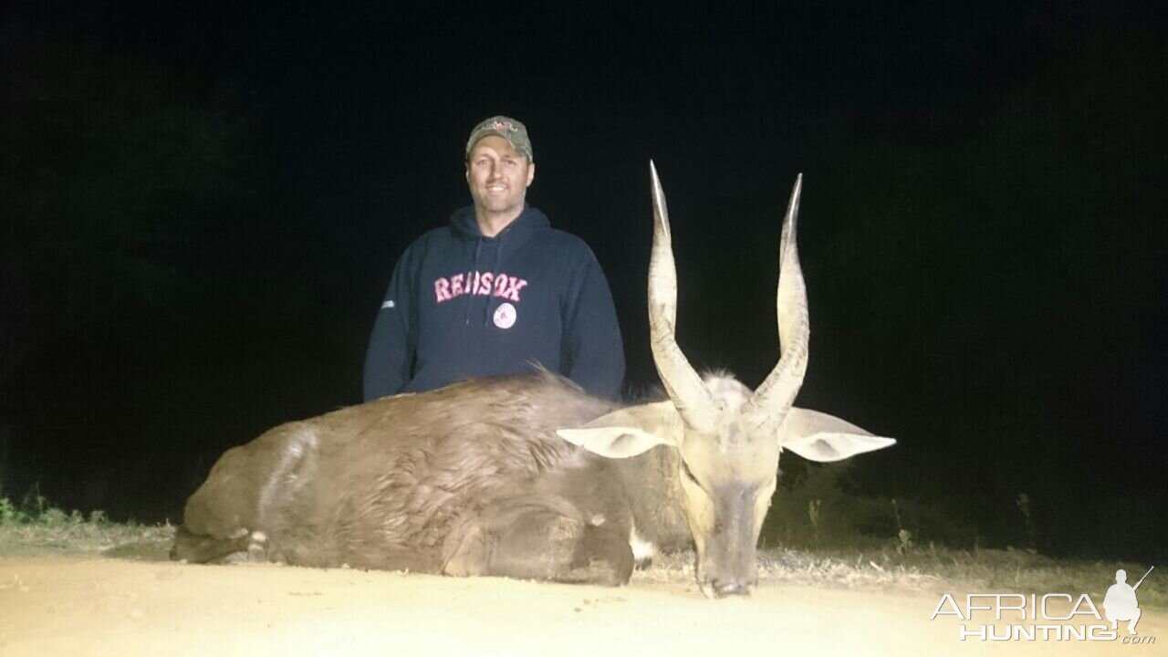 South Africa Hunting Bushbuck