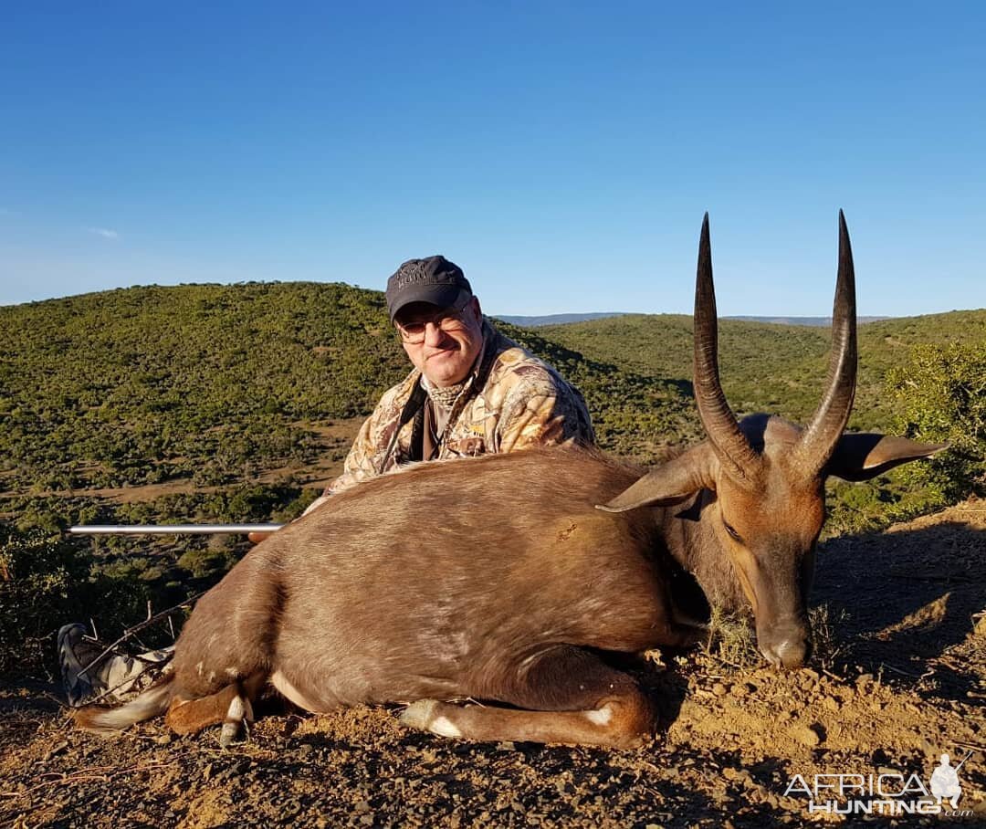 South Africa Hunting Bushbuck